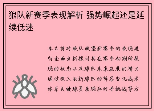 狼队新赛季表现解析 强势崛起还是延续低迷